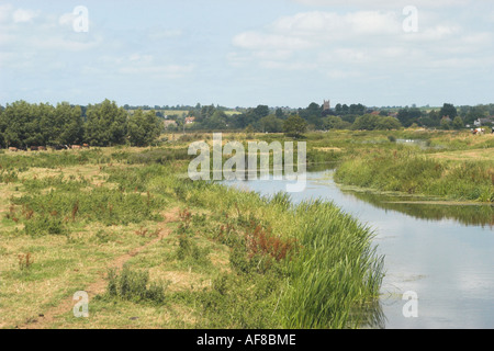 Fluss Isle, Muchelney, Somerset Levels, Somerset, Großbritannien. Stockfoto