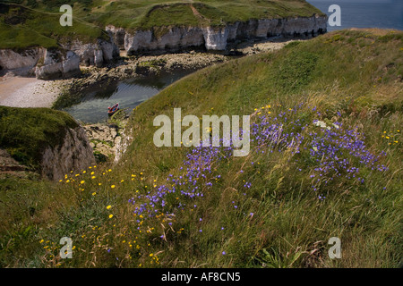 Norden Landung Flamborough Yorkshire UK Juli Stockfoto