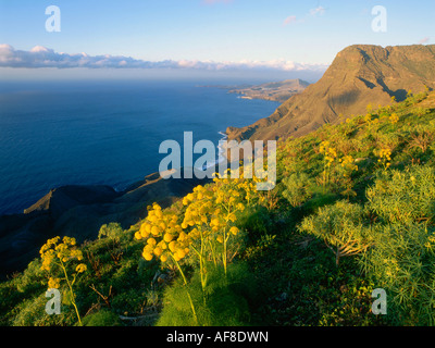 Steilküste mit Puerto de Las Nieves im Hintergrund Faneque Berg, Tamadapa natürlichen park, Westküste, Gran Canaria, Cana Stockfoto