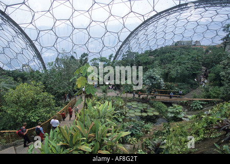 Feuchten Tropen Biom im Eden Project, in der Nähe von St Austell, Cornwall, England Stockfoto