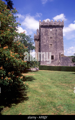 Die massiven quadratischen 85tft hoch halten von Blarney Schloss aus dem 15. Jahrhundert Stockfoto