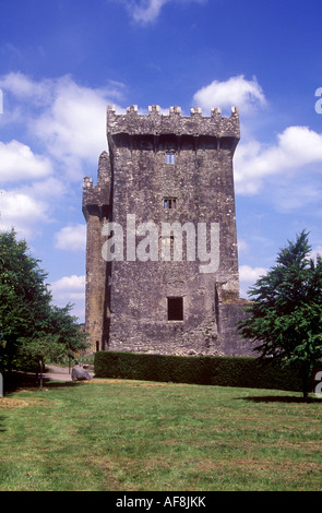 Die massiven quadratischen 85tft hoch halten von Blarney Schloss aus dem 15. Jahrhundert Stockfoto