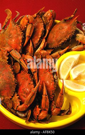 Blaukrabben Meeresfrüchte Kochen rote Krabben in gelben Schale Zitronen Stockfoto