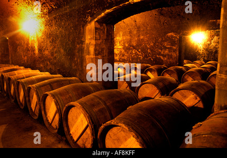 Frankreich Wein Bordeaux Medoc château Pontet Canet Frankreich französisch Wein Fass Keller Höhle Stockfoto