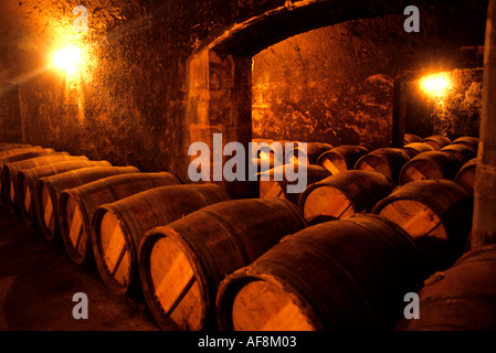 Frankreich Wein Bordeaux Medoc château Pontet Canet Frankreich französisch Wein Fass Keller Höhle Stockfoto