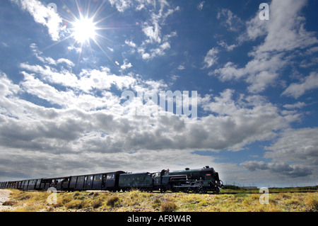 Romney Hythe und Dymchurch Miniatur 15 Zoll Spurweite Dampf Eisenbahn Rennen über Romney Marsh, Kent. Stockfoto