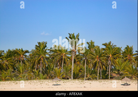 Eine Palme gesäumten Strand mit zwei Sonnenschirmen für die Badegäste am Strand in Mosambik Stockfoto
