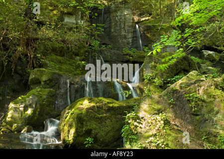 Ort der tausend tropft Great Smoky Mtns Nationalpark TN Stockfoto