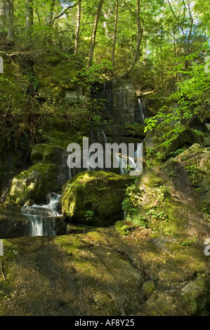 Ort der tausend tropft Great Smoky Mtns Nationalpark TN Stockfoto