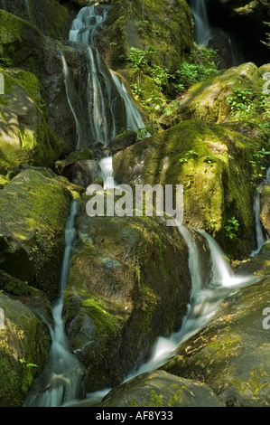 Ort der tausend tropft Great Smoky Mtns Nationalpark TN Stockfoto