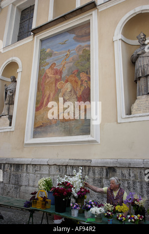 Slowenien Ljubljana Vlodnik Square ältere Dame Verkauf von Blumen auf der Rückseite der Kathedrale Sankt Nikolaus Stockfoto