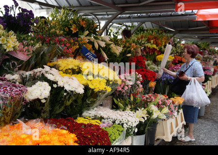 Slowenien-Ljubljana außerhalb Blumenmarkt in Vlodnik Square Stockfoto