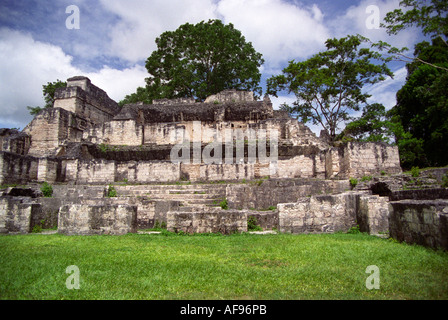 TIKAL GUATEMALA Zentral Amerika August einer der Tempel der Maya-Stadt Stockfoto
