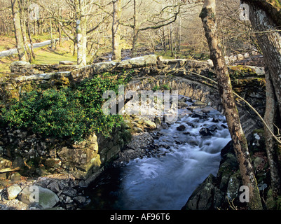 LLANBEDR GWYNEDD NORTH WALES UK April schmale Lastesel Brücke über die Afon Artro Stockfoto