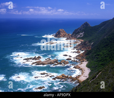 Küste bei Kranshoek in der Nähe von Plettenberg Bay an der Garden Route Kranshoek, Ostkap; Südafrika Stockfoto