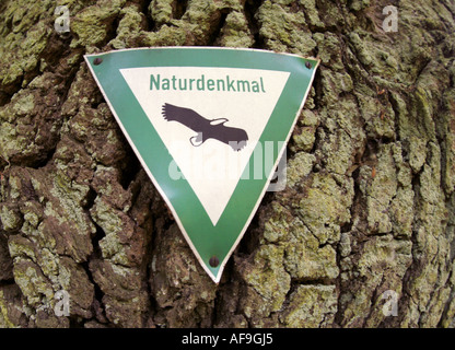 Stieleiche, pedunculate Eiche, Stieleiche (Quercus Robur), Zeichen-Natur-Denkmal am alten Baum, Deutschland Stockfoto