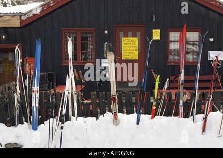 Norwegen, Rondane Nationalpark, Ski und Stöcke Stockfoto