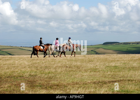 Pony-Trekker auf Brendon Common, Exmoor, Devon, England, UK Stockfoto