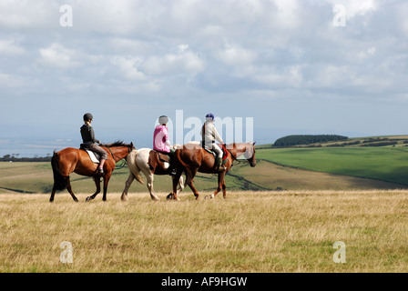 Pony-Trekker auf Brendon Common, Exmoor, Devon, England, UK Stockfoto