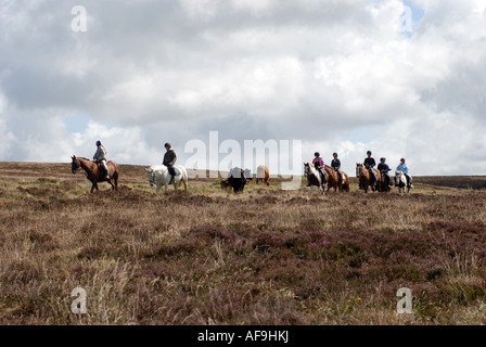 Pony-Trekker auf Brendon Common, Exmoor, Devon, England, UK Stockfoto