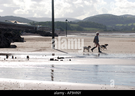 Blauer Anker Strand, Somerset, England, UK Stockfoto