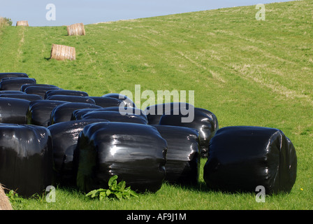 Schwarzer Kunststoff Heuballen in einem Cotswold Field, Gloucestershire, England, UK Stockfoto