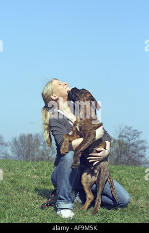 Deutscher Boxer (Canis Lupus F. Familiaris), Welpen mit junge Frau auf einer Wiese spielen Stockfoto