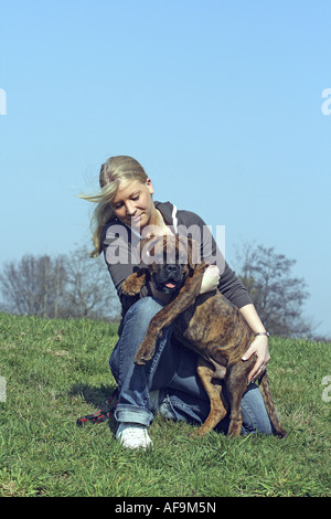 Deutscher Boxer (Canis Lupus F. Familiaris), junge Frau mit Welpen auf einer Wiese Stockfoto