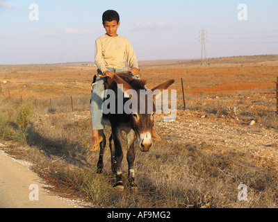 Hirtenjunge auf Esel in der Steppe in der Nähe von Banghazi, Libyen Stockfoto