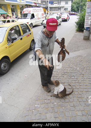 Plovdiv-Roma mit einem tanzenden Affen, Bulgarien Stockfoto