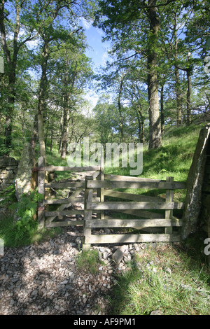 Ein Stock Foto eines Tores, die Zugriff auf einen Wald in den Lake District National Park UK Stockfoto
