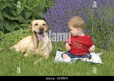Labrador Retriever (Canis Lupus F. Familiaris), mit 1 Jahre altes Kind, Deutschland Stockfoto