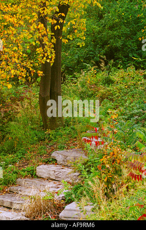 Bunten Herbstlaub umgibt eine Steintreppe klettern über Rahmen Stockfoto