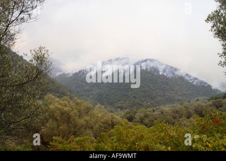 Waldbrände im Taygetos Gebirge, Kalamata, Peloponnes, Griechenland, Griechenland 2007 Stockfoto