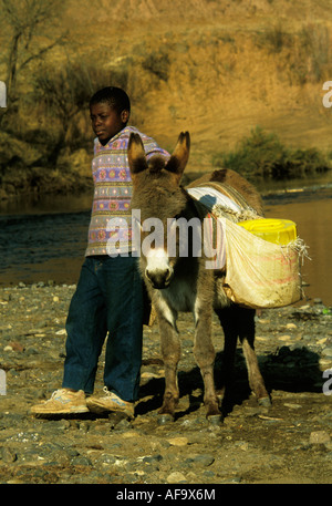 Ein schwarzer Junge Wasserholen aus dem Datenstrom in Plastikbehältern, dem seine Esel trägt Lesotho Stockfoto