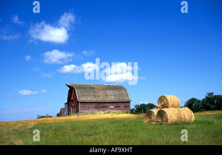 Eine alte Farm und rote Scheune auf einem Bauernhof Weizen an der Great Plains, Saskatchewan, Kanada. Stockfoto