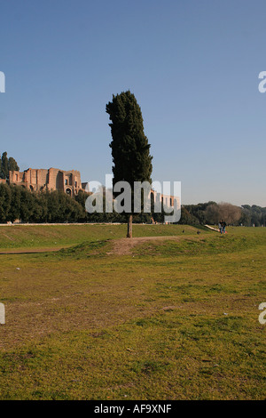 Zirkus Maximus Circus Maximus antiken römischen Streitwagen Rennen Stadion Stockfoto