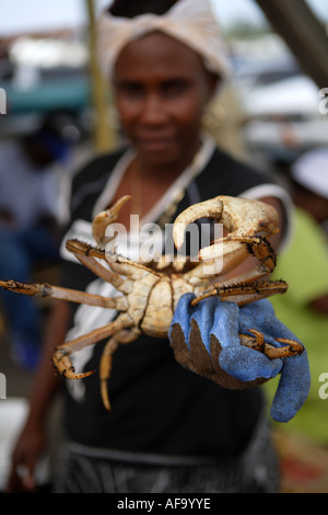 Frau verkaufen Krabbe auf New Providence Potters Cay, Nassau, Bahamas Stockfoto