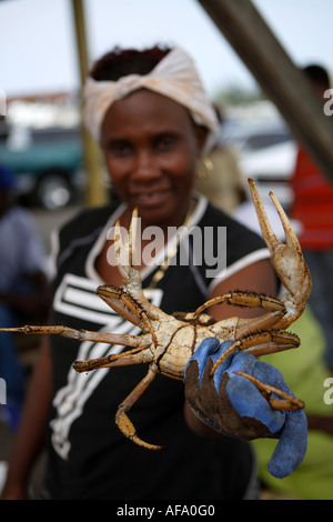 Leben Sie Krabben zum Verkauf an Potters Cay, Nassau, New Providence, Bahamas. Stockfoto