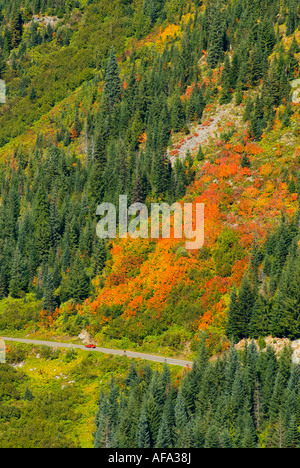 Herbstfarben in Stevens Canyon rot Auto auf der Autobahn Mount Rainier Nationalpark Washington Stockfoto