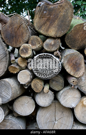 Insekt oder Bug Hotel hergestellt aus Kunststoff-Flasche und Roll von Wellpappe in Log Haufen Cotswolds UK Stockfoto