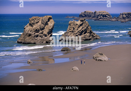 Eine Ansicht des Seastocks am Ozean-Strand in der Stadt von Bandon Oregon Stockfoto