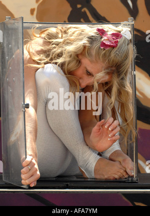 Schlangenmensch Delia du Sol in einer box Stockfoto