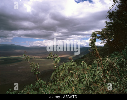 Tansania, Ngorongoro Krater, Ansicht von der Felge Stockfoto