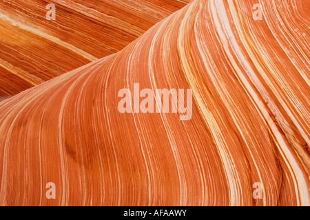 Abstrakte Arizona Landschaft von Felsformationen aus Sandstein Stockfoto