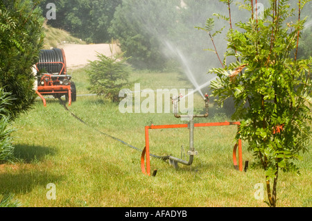 Wasser-Doppelsprinkler zur Bewässerung eines üppig grünen Gras in einem Garten mit einer landwirtschaftlichen Schlauchhaspel im Hintergrund. Stockfoto