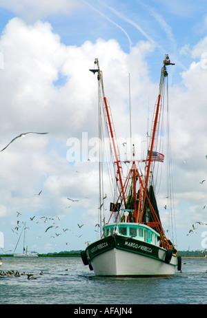 Garnelen-Boot umgeben von Vögel Shem Creek Mt angenehm South Carolina USA Stockfoto