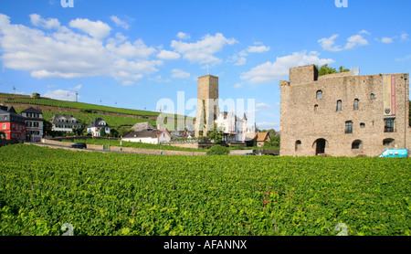 Oberburg Castle und Bromserburg Castle in Rüdesheim im Flusstal Rheins in Deutschland Stockfoto