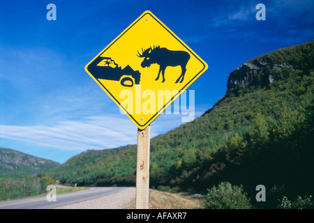 Gefahr Verkehrszeichen Vorsicht Elche Gros Morne National Park Neufundland Kanada Stockfoto