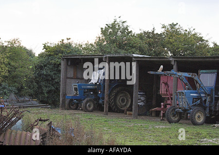 Schleiereule am alten Traktor Stockfoto